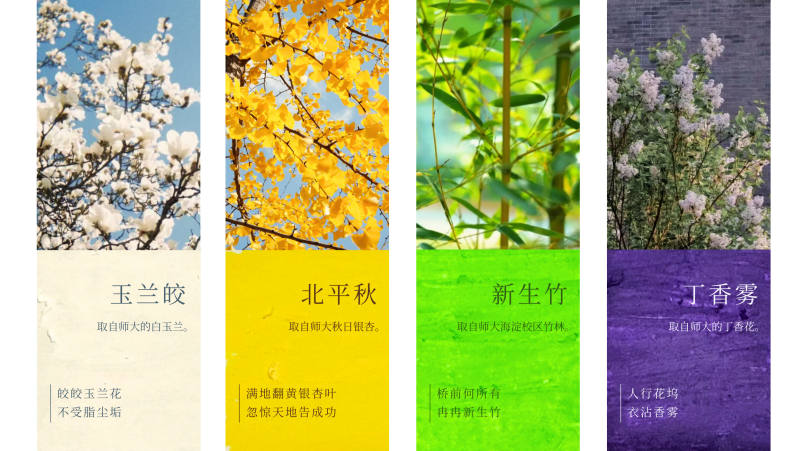 微信图片_2025-12-29_154534_296.png