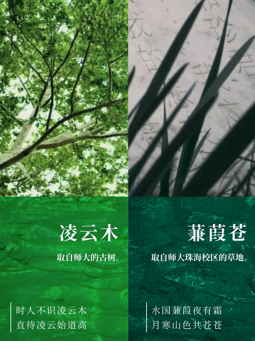 微信图片_2026-01-01_231310_224.png