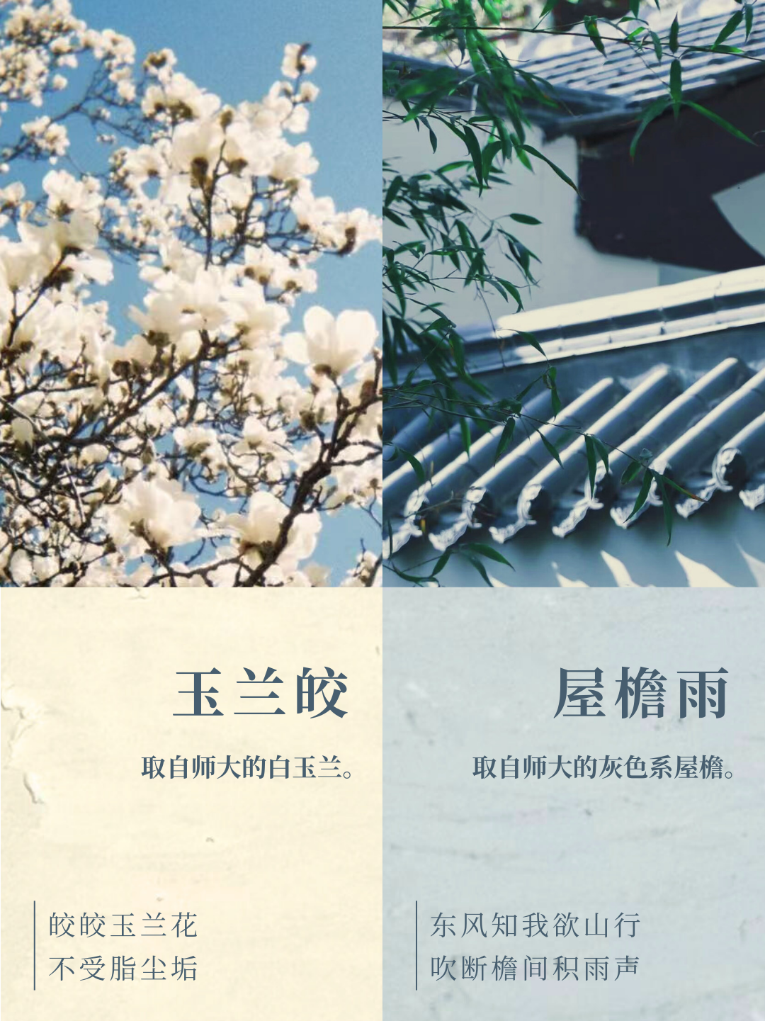 微信图片_2026-01-01_231253_616.png